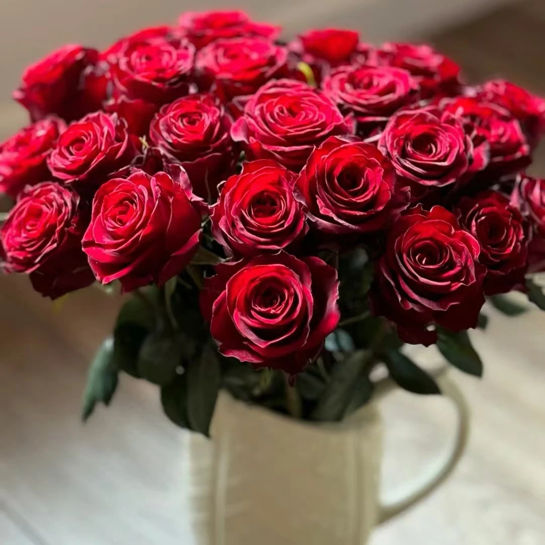 【源头优选】单头红玫瑰-任意2单鲜花包邮 发货后不支持退款