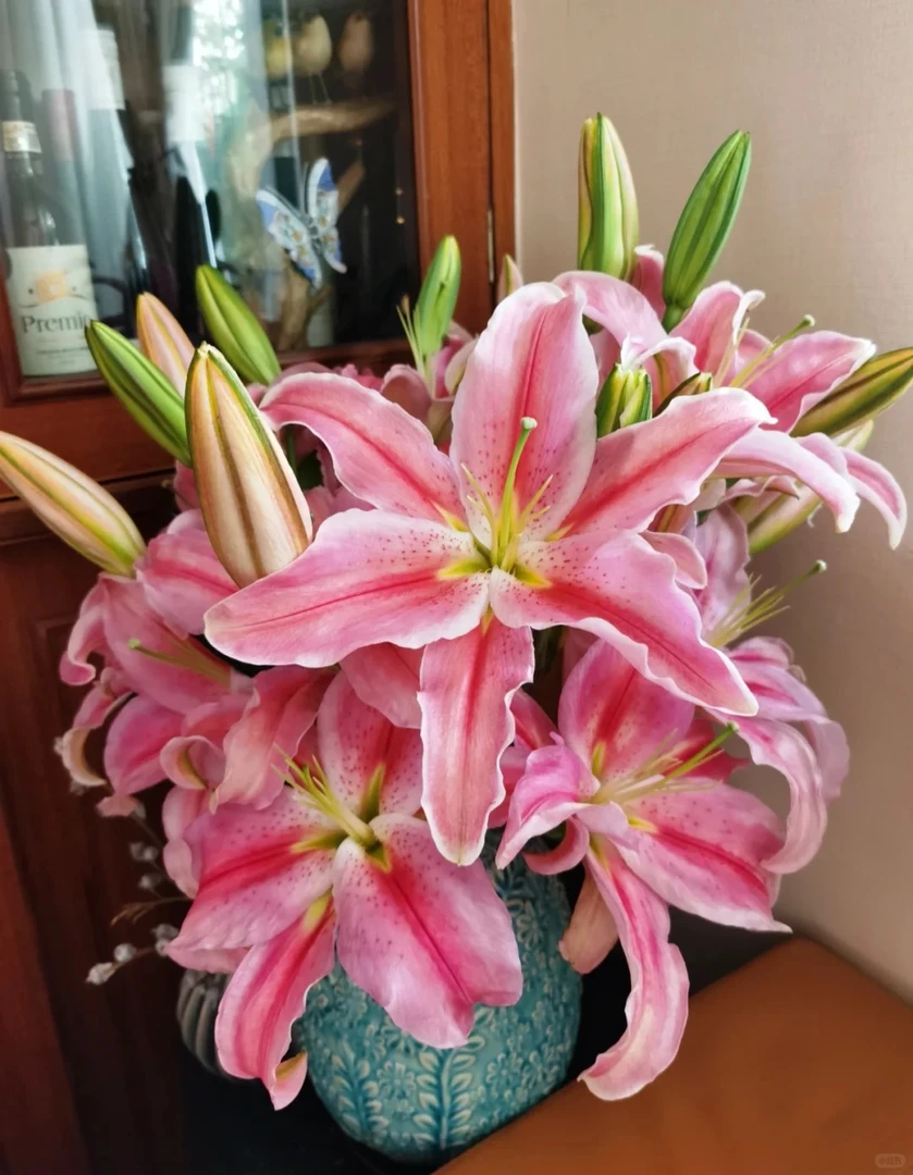 【源头优选】罗曼蒂克香水百合 任意2单鲜花包邮 发货后不支持退款