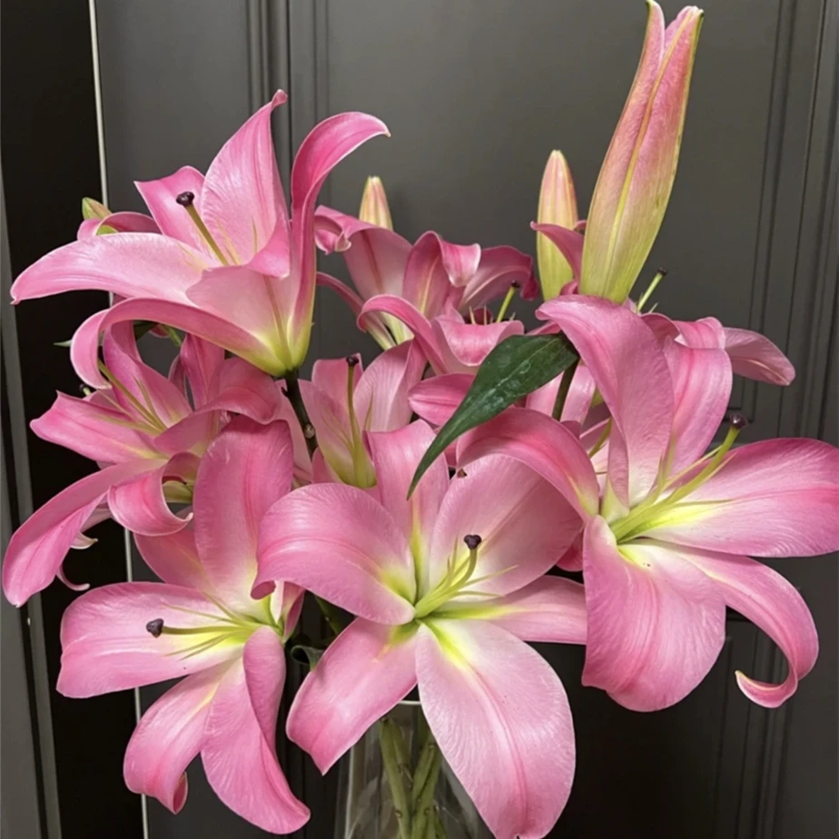 【大聪明卖花】罗宾香水百合 鲜花水养 鲜花10%不售后 拒收不售后