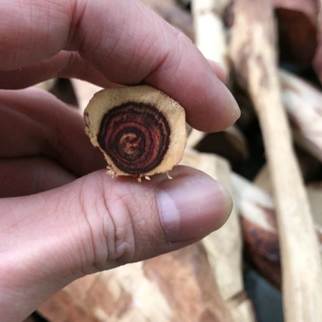 【闪购商品】黄花梨/降香黄檀手串定制品不退换