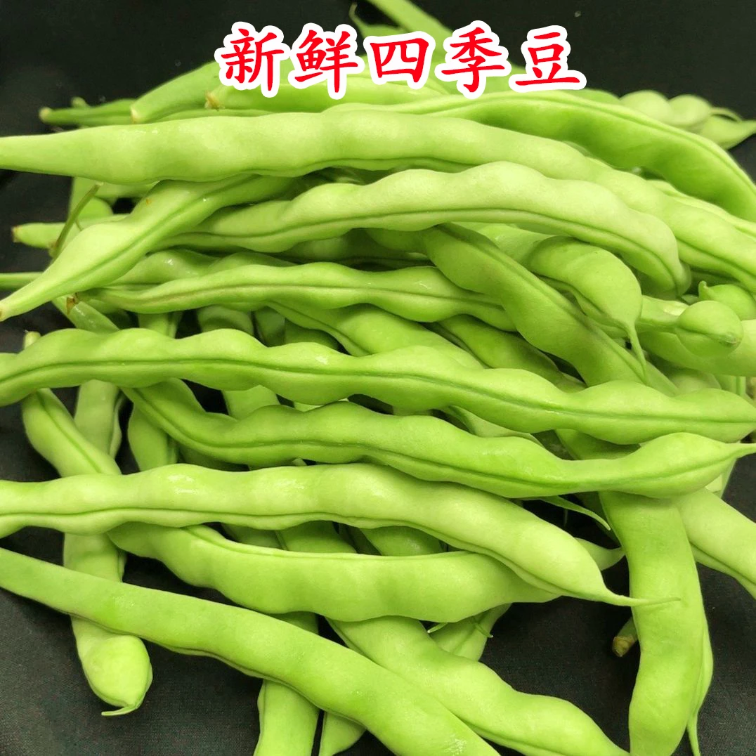 贵州应季新鲜四季豆小南瓜糯玉米现摘泡沫箱加冰袋整箱