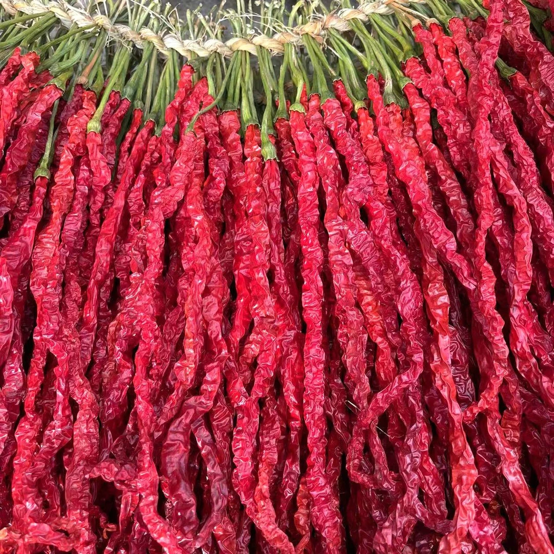 贵州毕节大方皱椒鸡爪辣干辣椒皮薄肉厚微辣特香250g(半斤)包邮