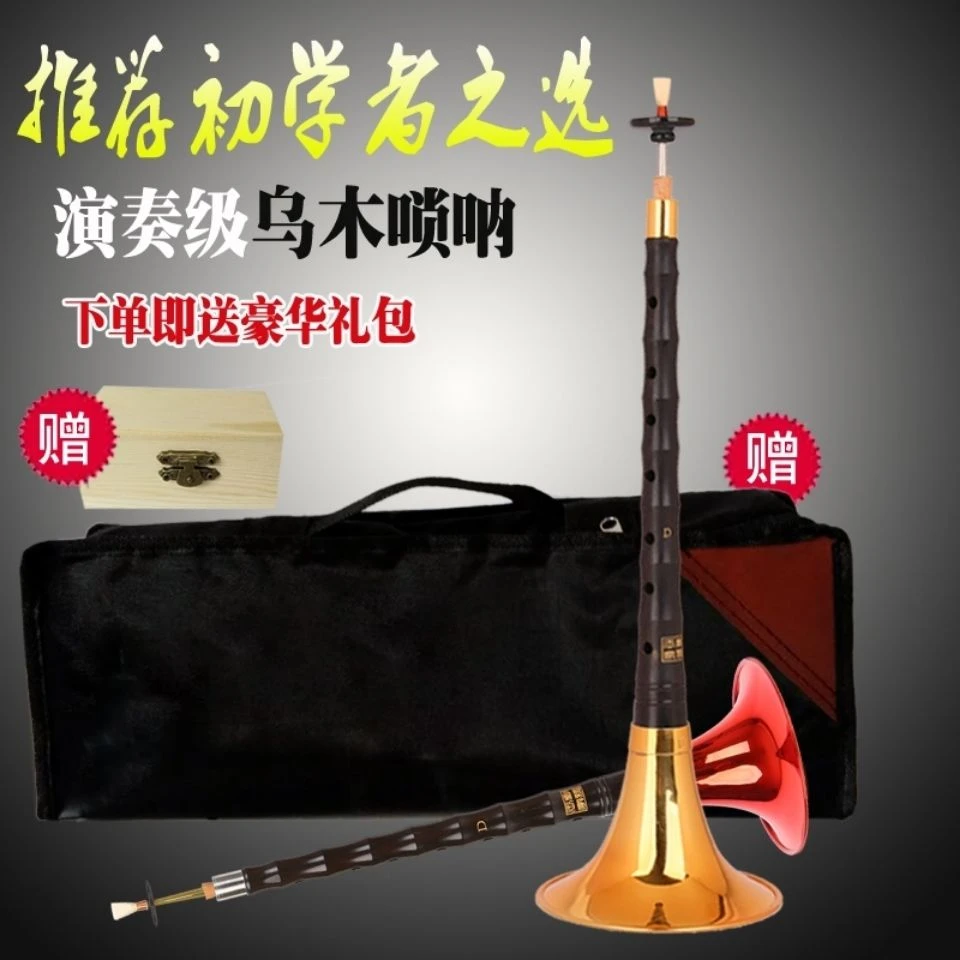 唢呐乐器全套初学者民族乐器喇叭d调唢呐D调专业演奏黑檀木乌木
