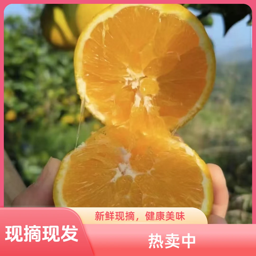 正宗湖南高山农家自种脐橙清甜可口
