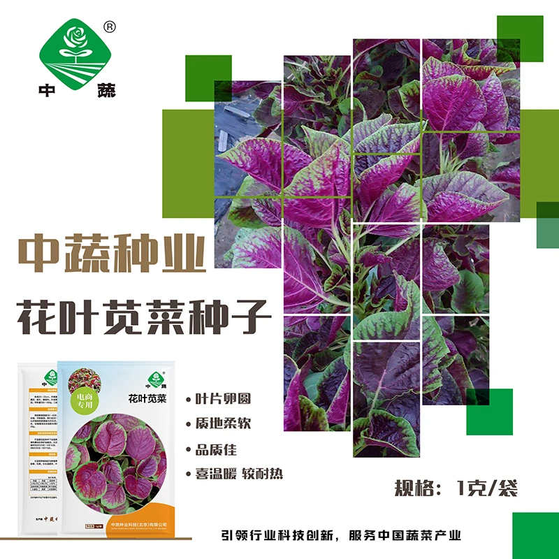 ZhongShu/中蔬【农科院】中蔬苋菜种子耐热蔬菜种子南北方种植农科