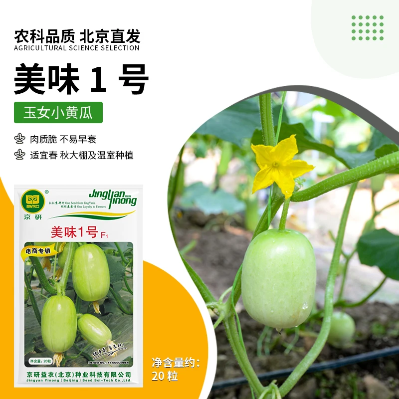 京研【农科院】玉女水果黄瓜种子小黄瓜种子阳台盆栽蔬菜种春耕节