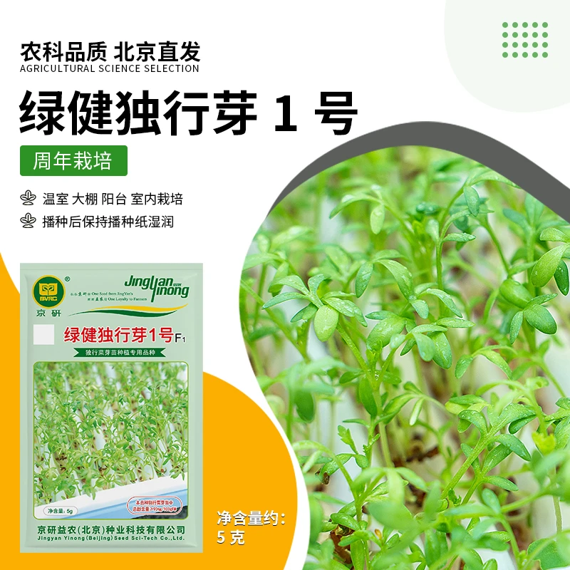 【农科院推荐】芽苗菜种子油葵豌豆花生松柳萝卜黑豆水培蔬菜种籽孑