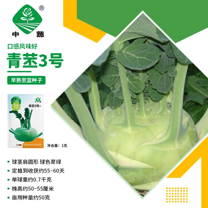 【农科院中蔬】水果苤蓝种子青苤3号农科院秋季种植四季蔬菜种子