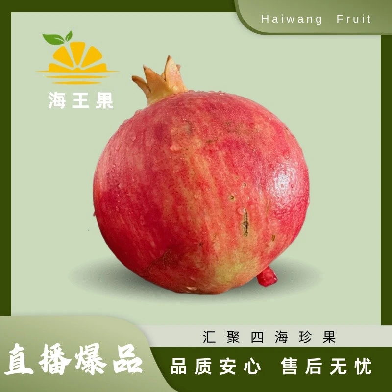 【海王果新品】突尼斯软籽石榴-300g±20g