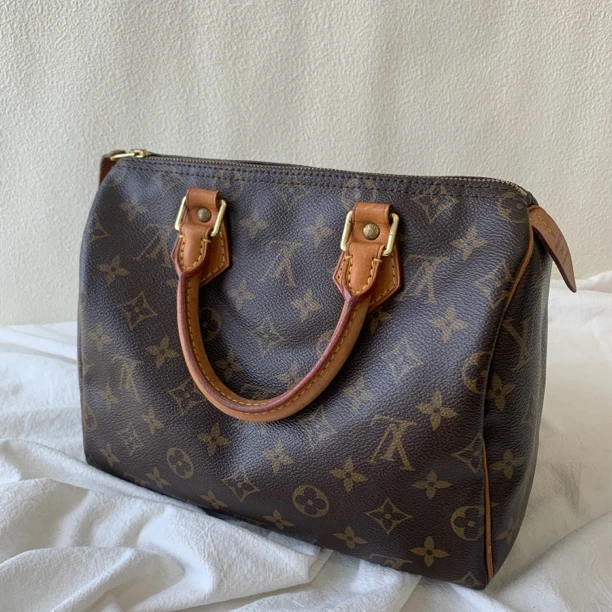 95新 LouisVuitton/路易威登 经典老花speedy25波士顿手提包
