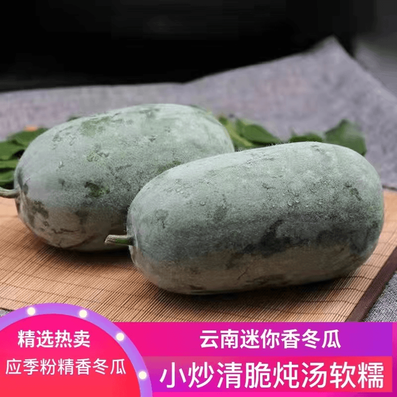 冬瓜 青皮小冬瓜 毛节瓜新鲜现摘农家嫩毛节瓜 新鲜蔬菜