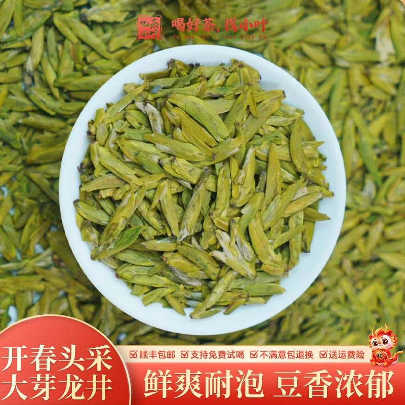 2024年新茶头春头采大芽龙井鲜爽耐泡豆香浓郁精选嫩芽绿茶