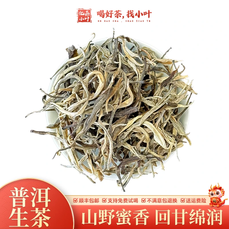 云南金玉贡芽山野蜜香回甘绵润正宗古树普洱生茶散茶叶