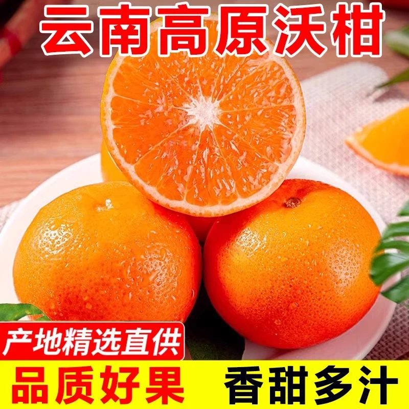 云南新鲜沃柑当季现摘新鲜水果橘子高原高山沃柑水果水润多汁甘甜