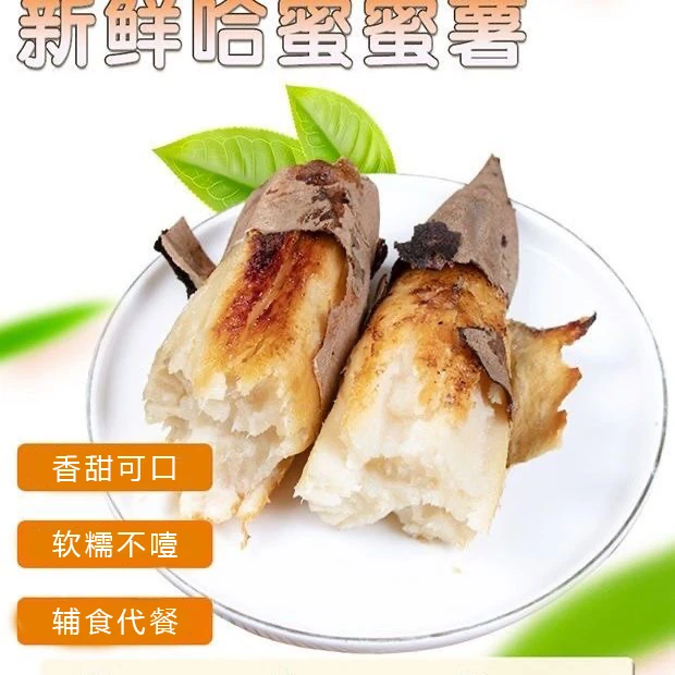 薯食康【哈密冰糖蜜薯】地瓜红薯粉糯香甜香糯好吃白薯板栗味哈密薯