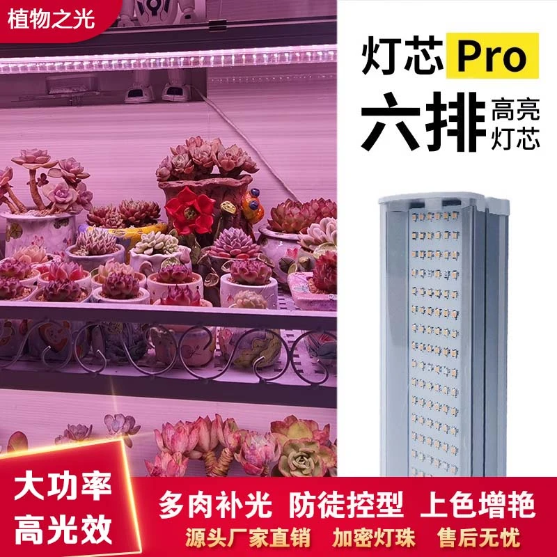 植物之光多肉补光灯T20灯排大功率6排防徒上色全光谱植物灯生长灯