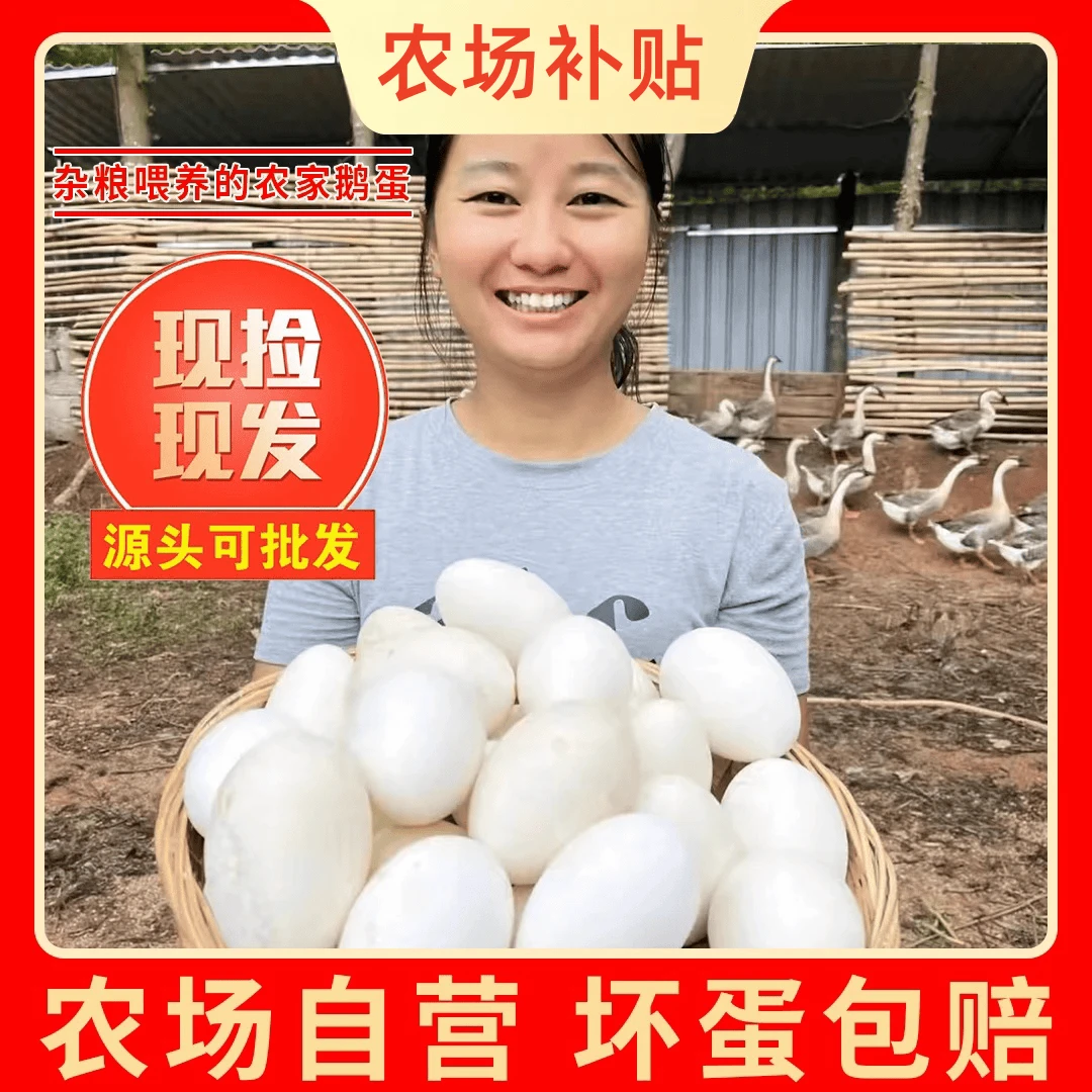 【农场补贴】现捡现发新鲜散养鹅蛋一箱12枚单枚重120g左右双黄居多