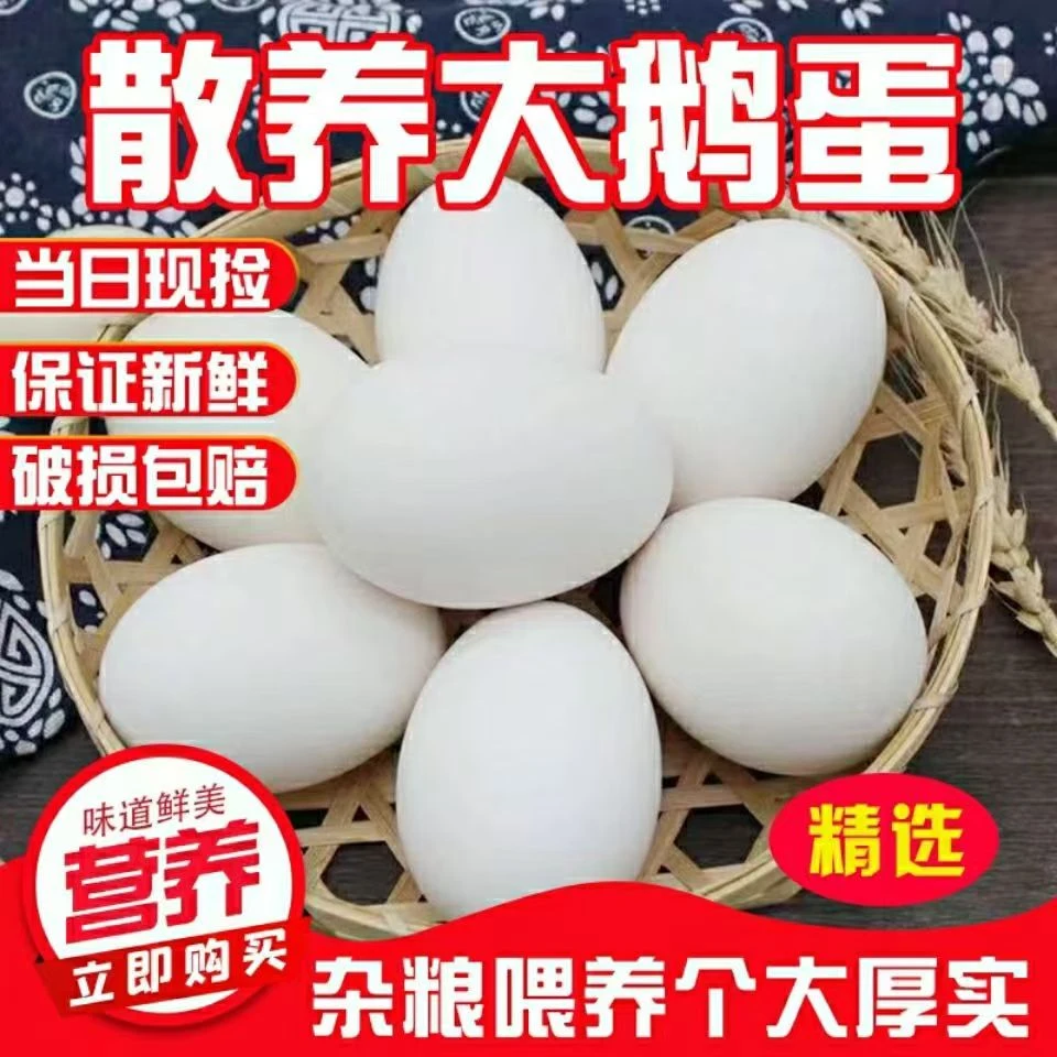 【自家鹅蛋】农家土鹅蛋12枚现捡现发新鲜农家整箱