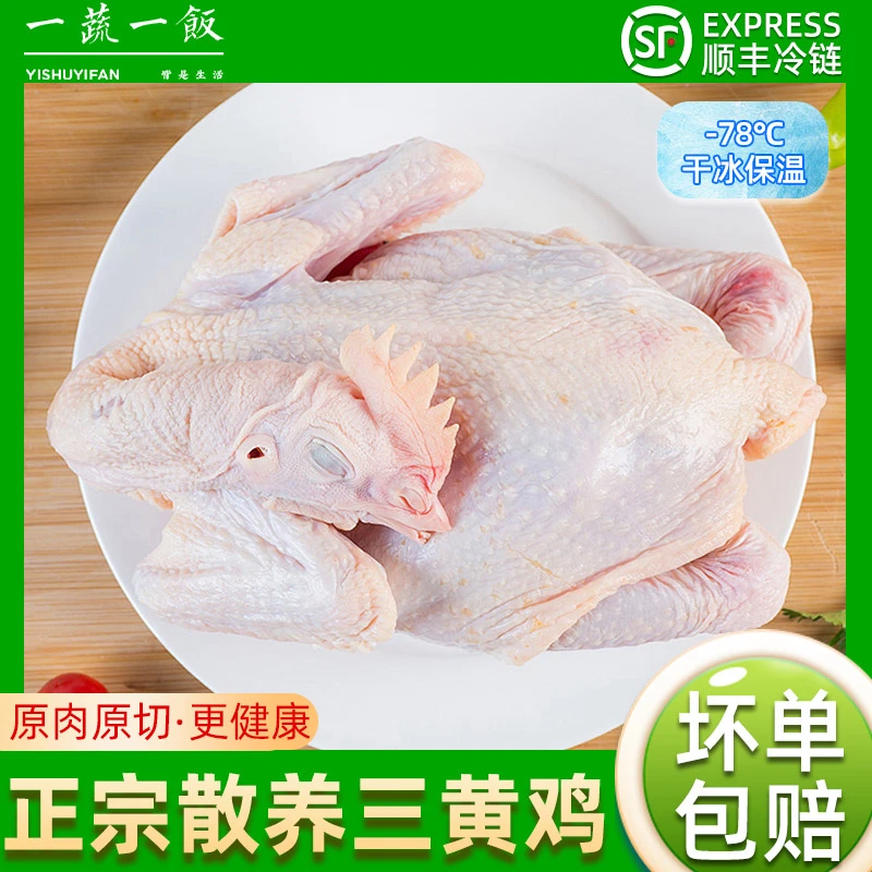 正宗三黄鸡营养农家散养走地鸡整只新鲜现杀白条鸡童子鸡顺丰包邮