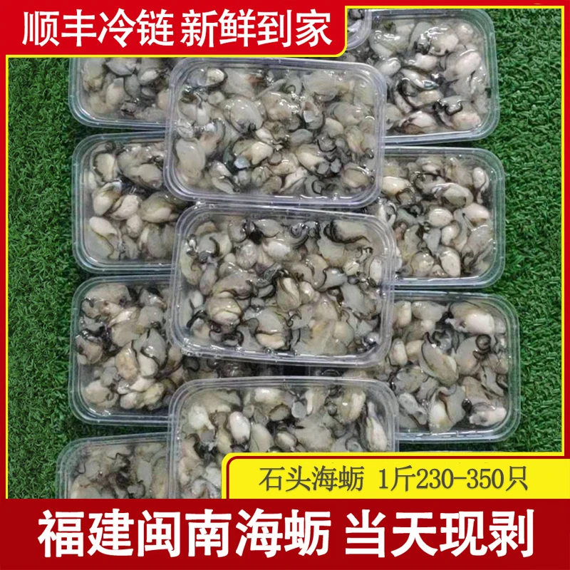 福建石头小海蛎现剥生蚝牡蛎珠蛎闽南蚵仔煎潮汕蚝烙肥蚝1斤/袋