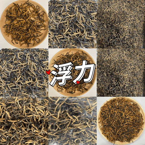 【丛草】1800条/斤  丛草  可搭枸杞煲汤