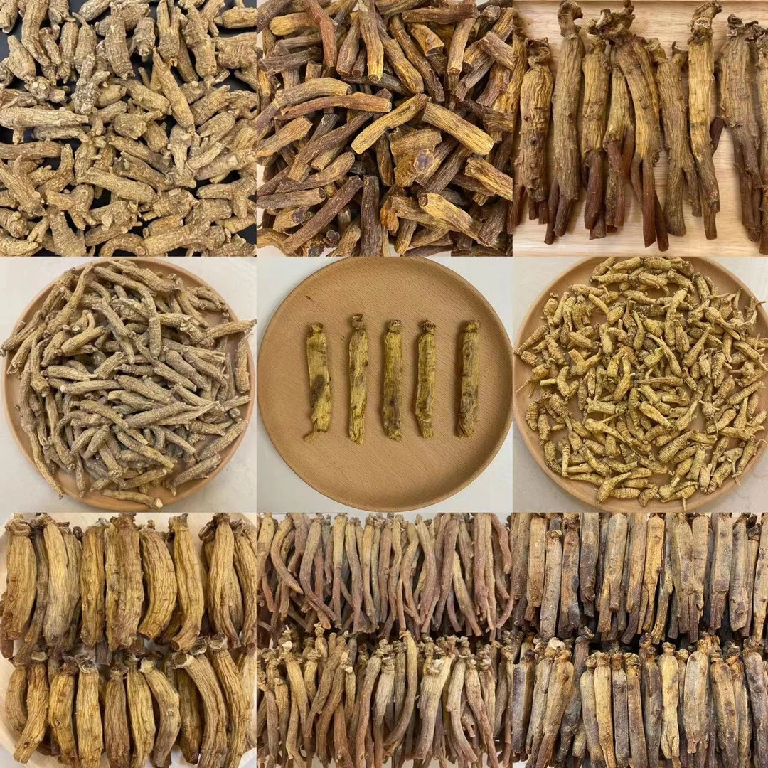 【精品高俪】150克高俪 人参 （10）