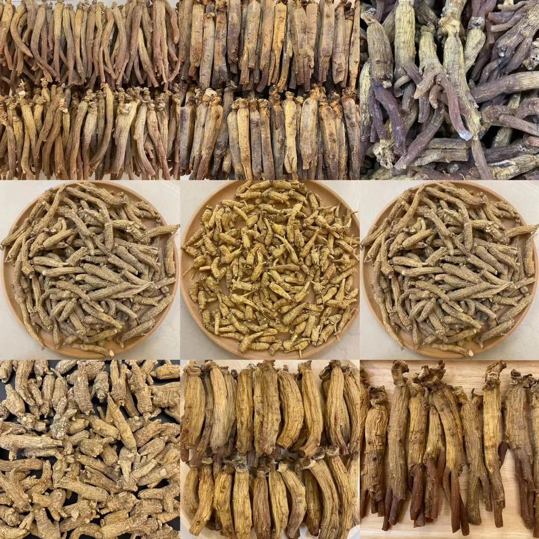 【高俪片】 高俪（香）中小片 人参
