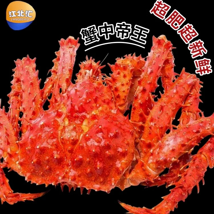 帝王蟹智利进口鲜活大螃蟹海鲜皇帝帝皇蟹年货礼盒送礼