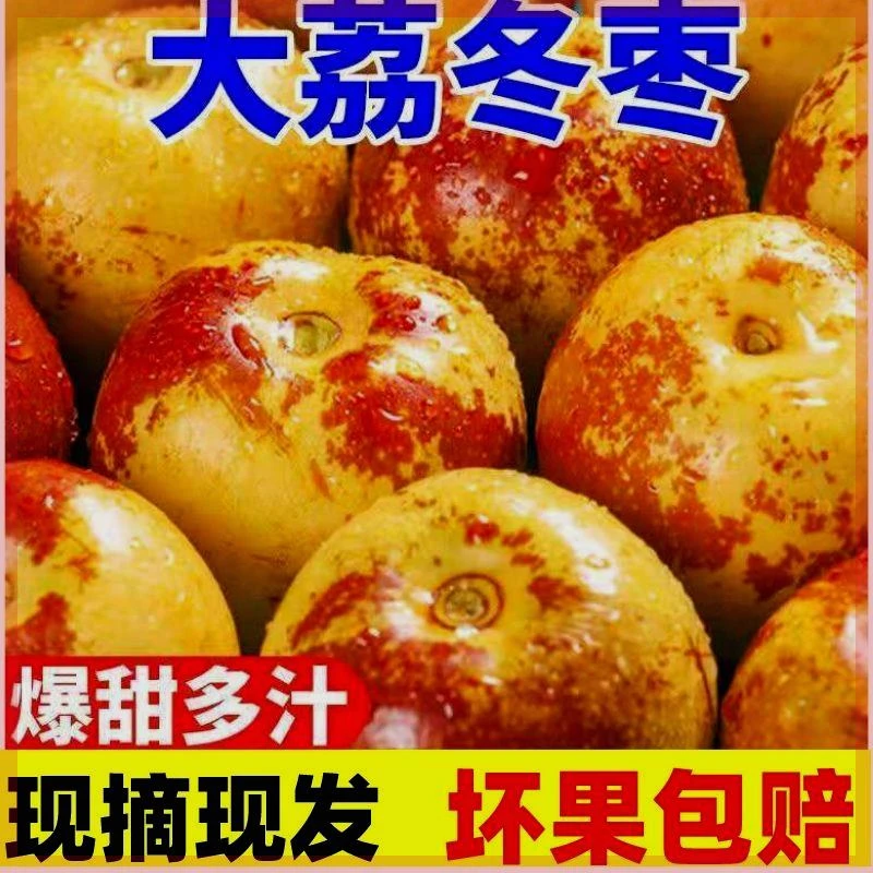 【大杨】陕西大荔冬枣新鲜脆甜枣子红枣当季孕妇新鲜水果青枣整箱