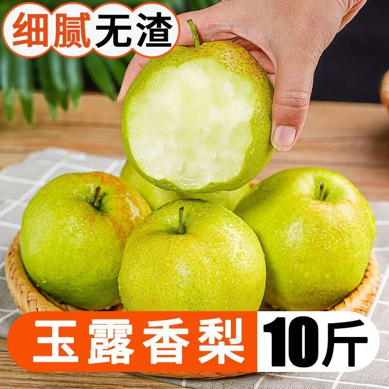 【大杨】【玉露香梨】正宗山西梨子//脆甜孕妇水果新鲜酥梨隰县批
