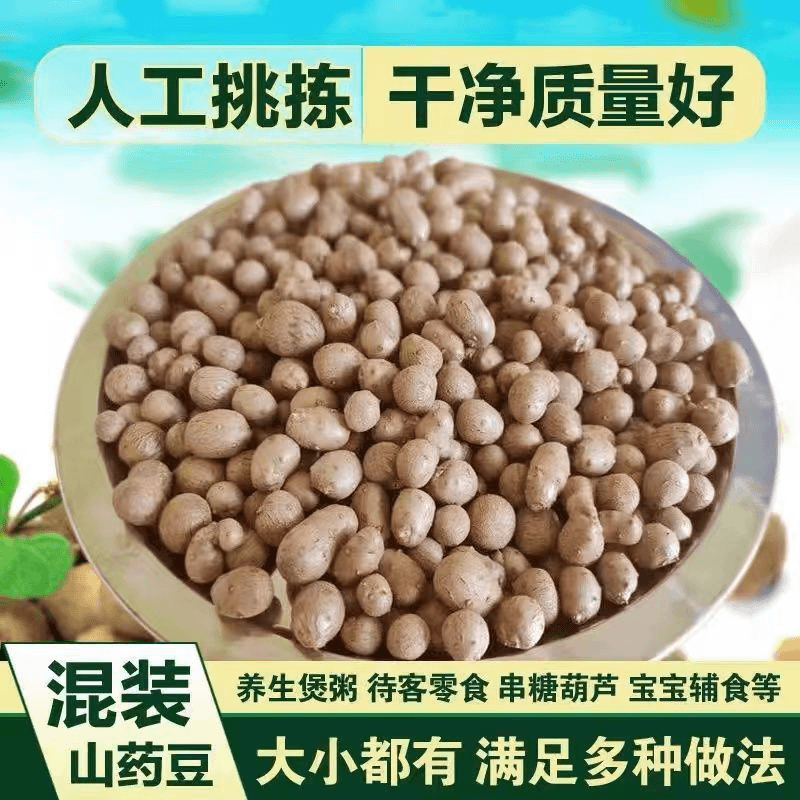 【大杨】新鲜山药山药豆批发巨大号糖葫芦专用铁棍山药包邮