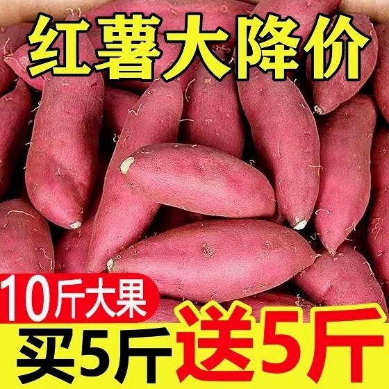 【大杨】【抢购中】西瓜红沙地蜜薯红薯新鲜板栗薯地瓜番薯番薯蔬