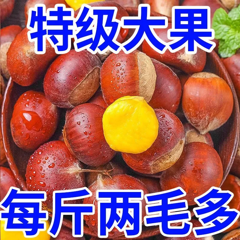 【大杨】板栗生新鲜年板栗装板栗球红皮壳丹东板栗带家用实惠装