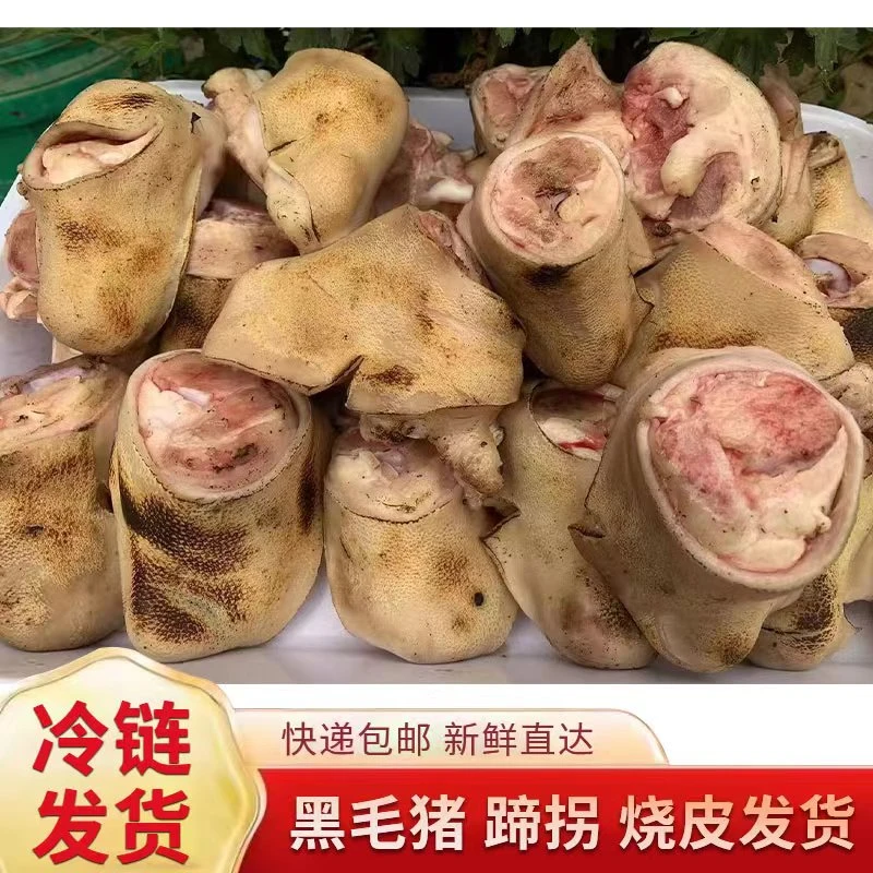 优选黑毛猪拐骨5斤新鲜烧皮真空速冻顺丰包邮带