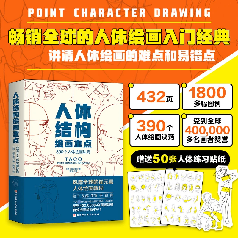 人体结构绘画重点解剖艺术指导书籍北京科学技术出版社