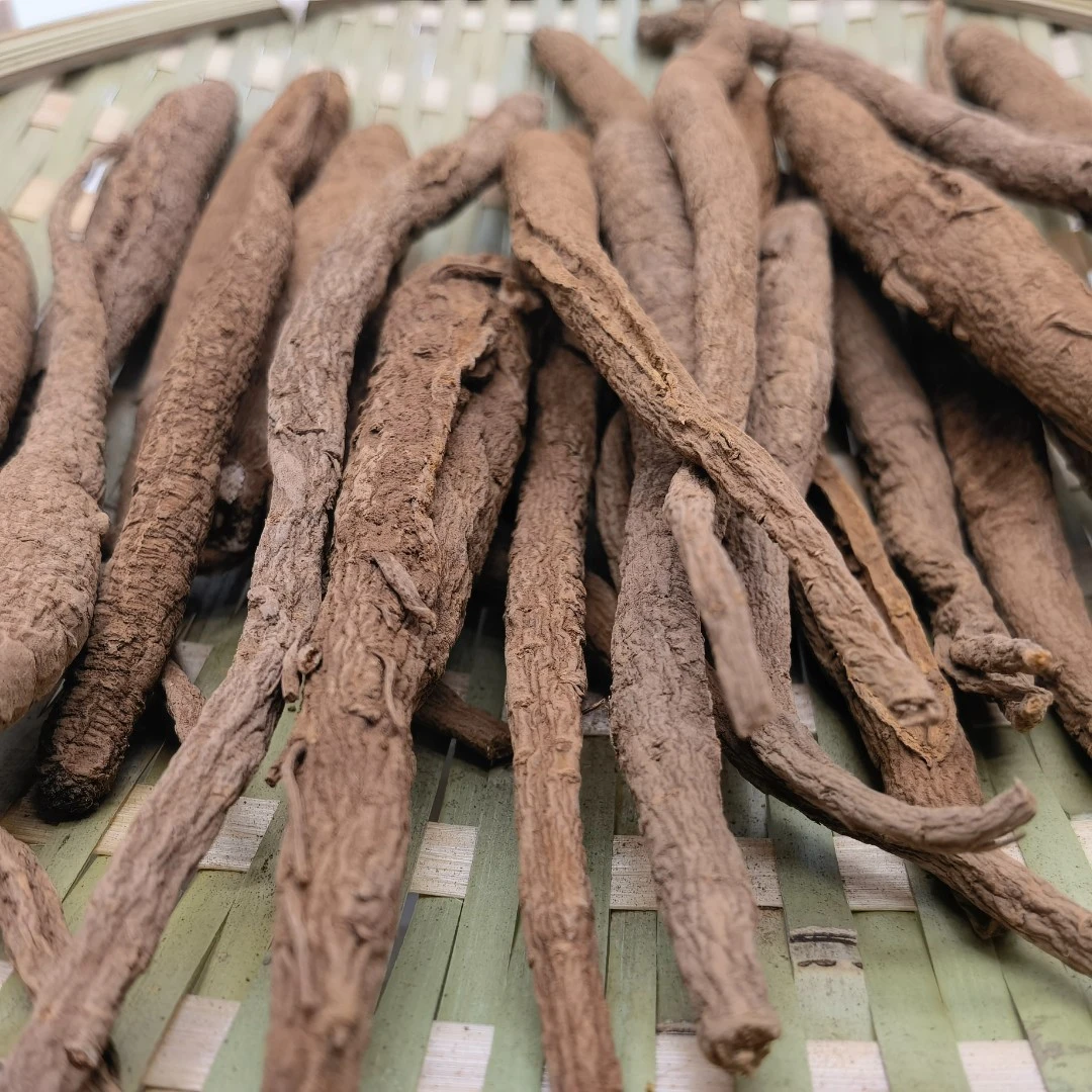 【甜当归】月月推荐 西归 云南特产食用煲汤