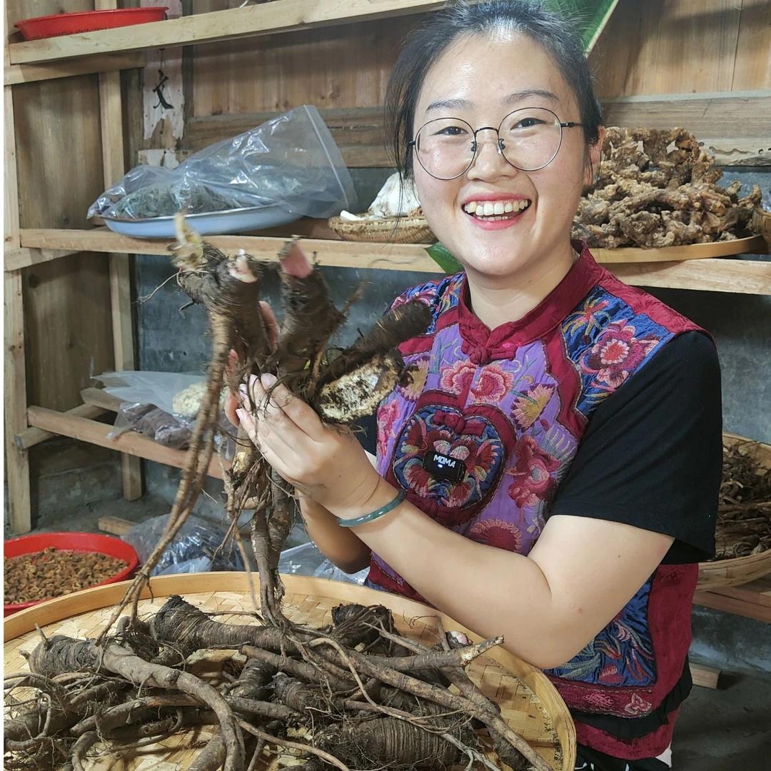 【云当归】深山现挖 干货 秦当归 西归 食用农产品 煲汤
