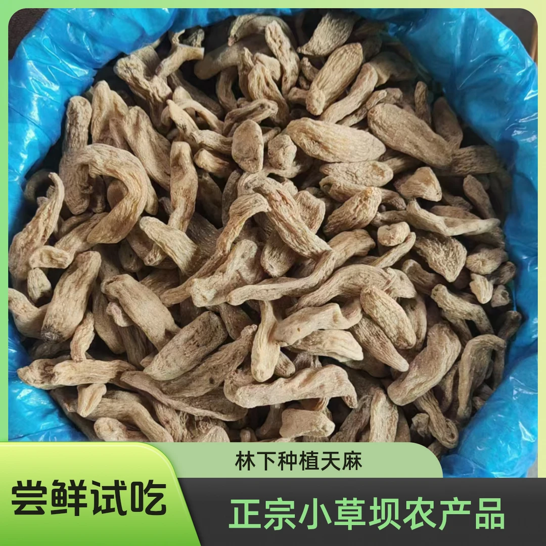 天麻小小果 小拇指大小 不打粉(尝鲜试吃)正宗小草坝农产品