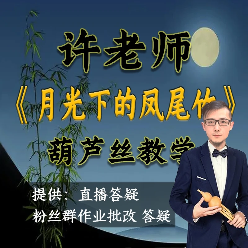 《月光下的凤尾竹》全曲葫芦丝教学逐句详细讲解 12节精品课程