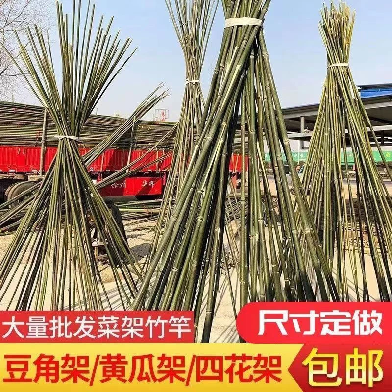 竹竿菜园搭架蔬菜黄瓜番茄豆角架杆竹篱笆栅栏小竹子细竹竿爬藤架
