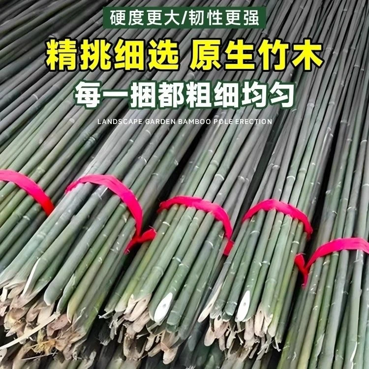 竹竿菜园搭架蔬菜黄瓜豆角架杆竹篱笆栅栏小竹子细竹竿爬藤架专用