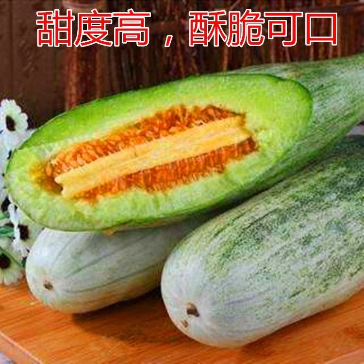羊角蜜甜瓜当季种子薄皮香瓜种籽羊角脆甜水果四季