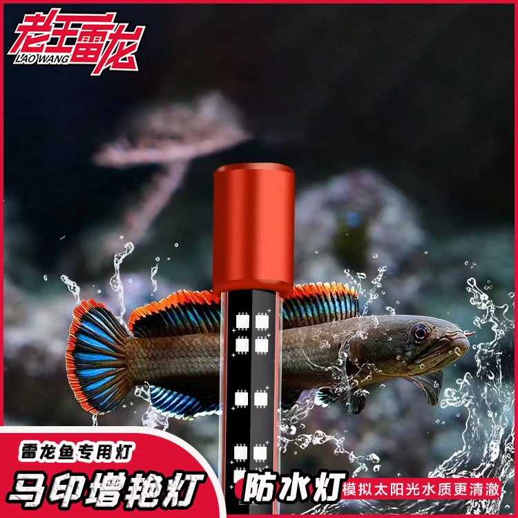 老王推荐水族新款马印神灯