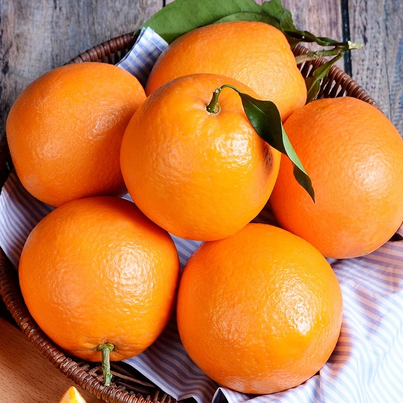 果园直发现摘现发脐橙广西富川新鲜橙子应当季水果整箱甜橙纽荷尔