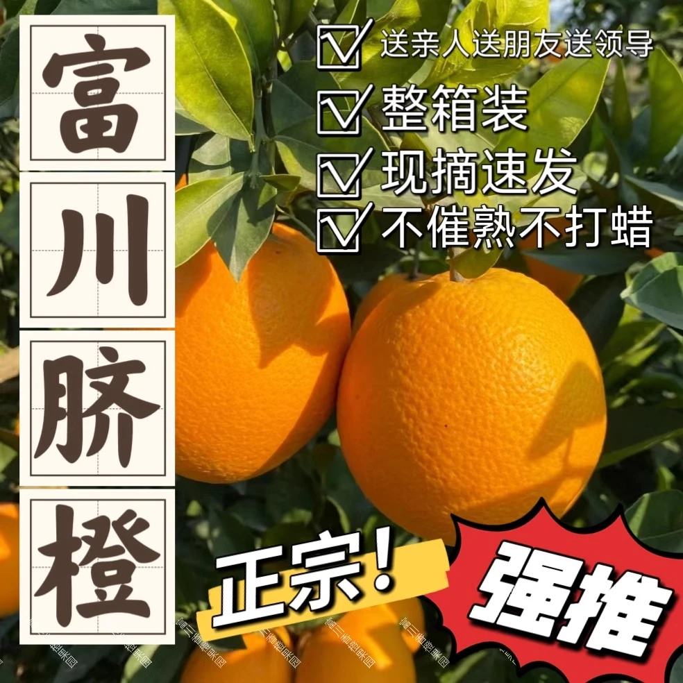 正宗富川脐橙纽荷尔广西果园新鲜现摘现发橙子香甜多汁10斤多汁
