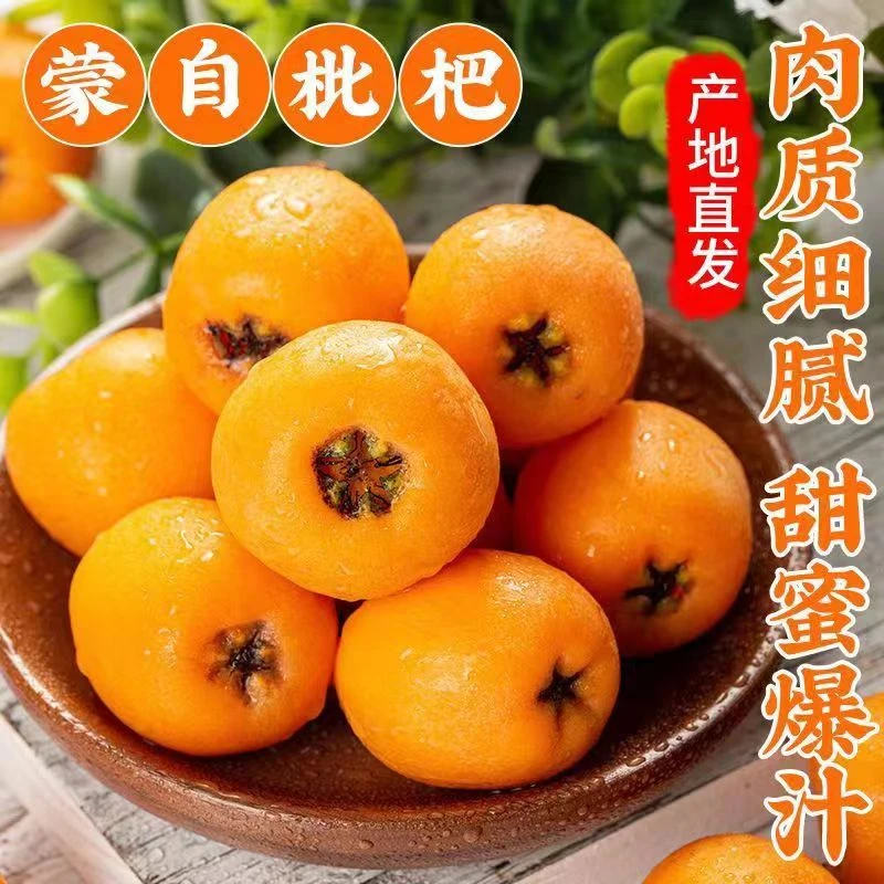 【每人领一箱】正宗云南蒙自新鲜枇杷果当季现摘水果香甜多汁1斤3斤