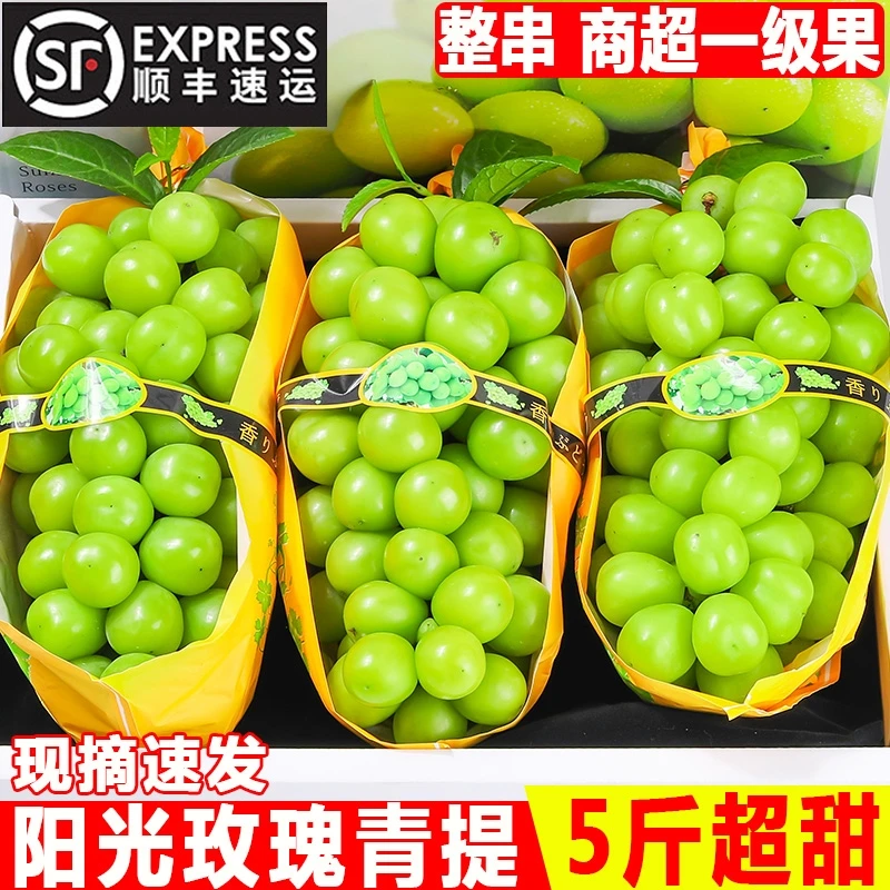 【每人领一箱】阳光玫瑰葡萄新鲜青提晴王提子水果当季包邮鲜果1斤