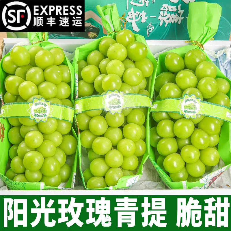 【新店尝鲜】阳光玫瑰葡萄新鲜晴王青提无籽香印提子多汁1斤包邮