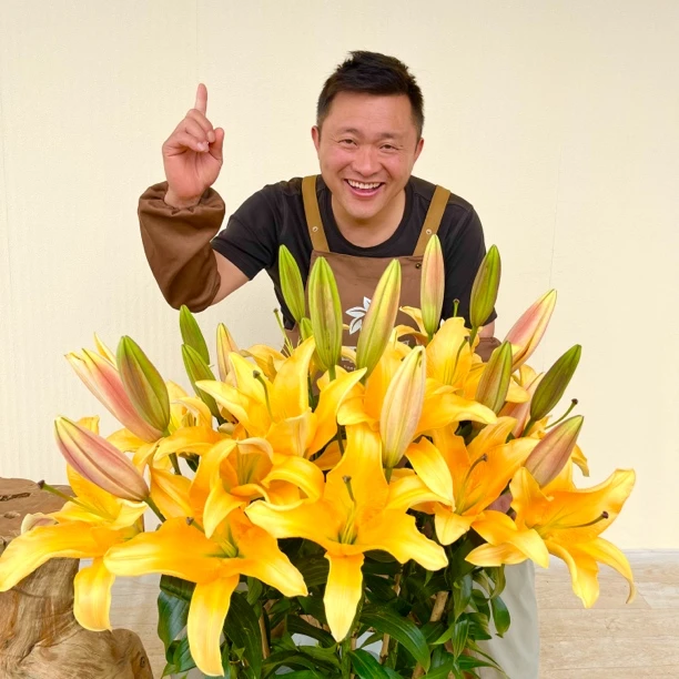 2号店/四季可种《晚霞》1颗20/22进口单瓣香水百合种球