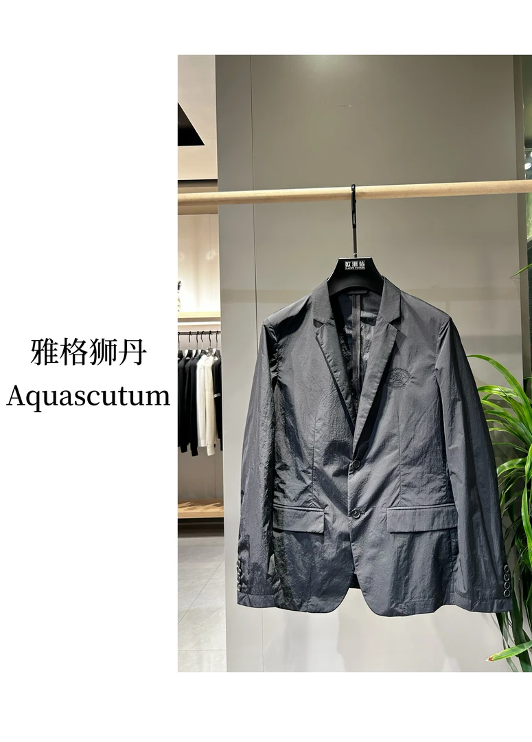 欧洲站2024春夏新款西服商务人士修身休闲百搭黑色银灰色